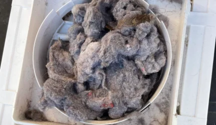 dryer vent maintenance