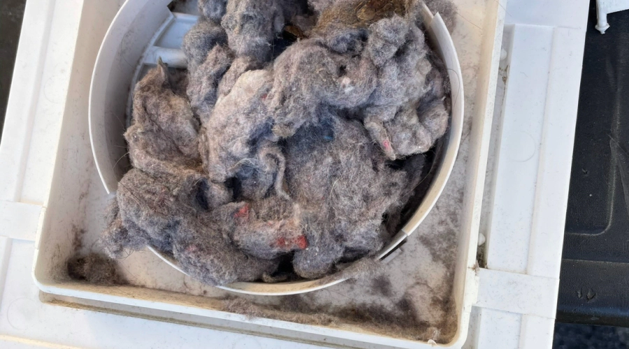 Dryer Vent Maintenance 2 dryer vent maintenance service